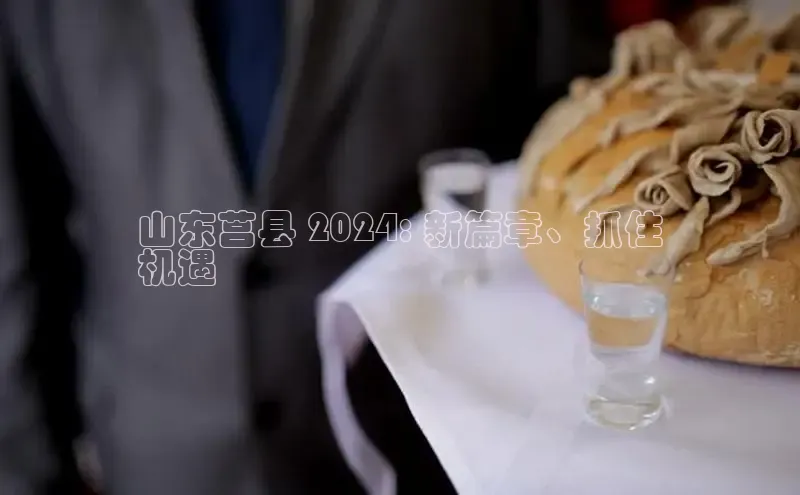 意昂4代理百度翻译App山东莒县 2024: 新篇章、抓住
机遇