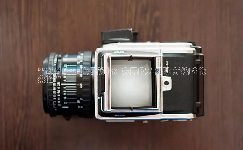 EON4雷柏科技**2024年玉米保护价：农民收入保障 新粮时代
来临**