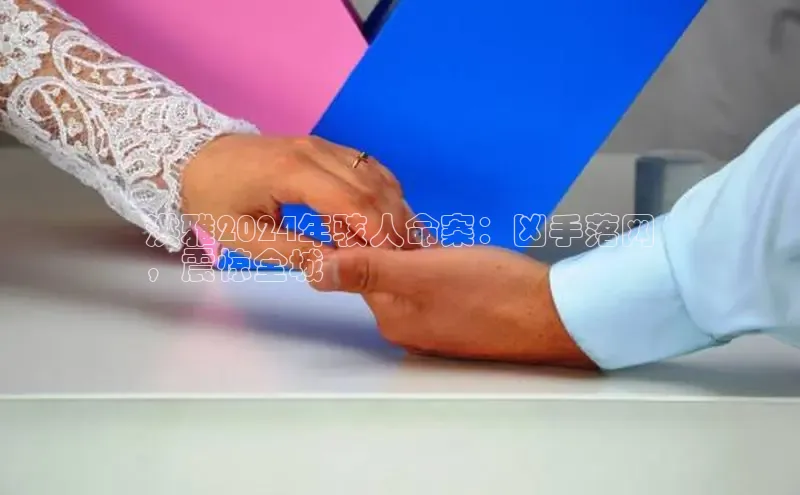 意昂4官网百度Apollo洪雅2024年骇人命案：凶手落网
，震惊全城