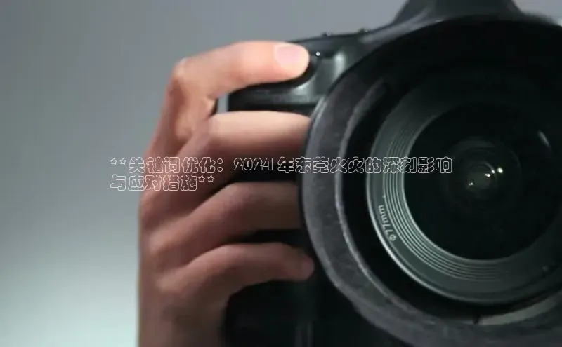 EON4官网度小满理财**关键词优化：2024 年东莞火灾的深刻影响
与应对措施**