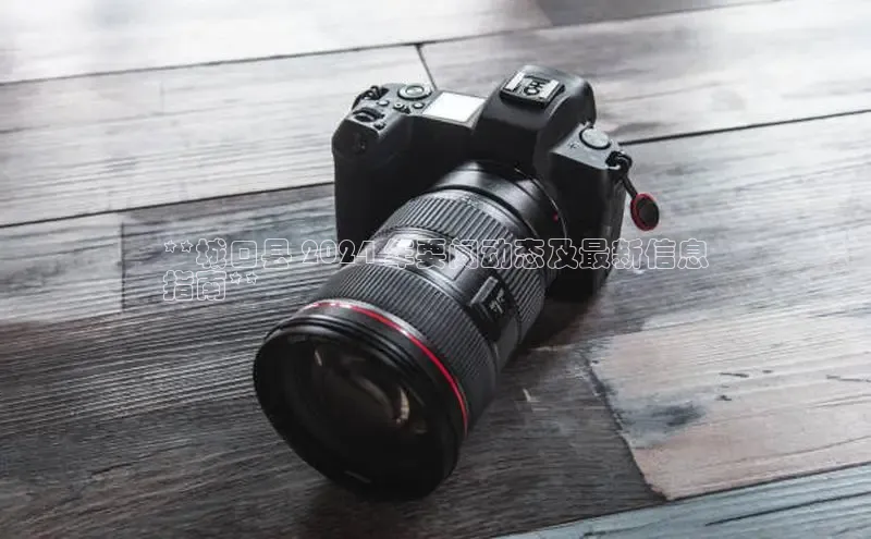 EON4招商华策影视**城口县 2024 年要闻动态及最新信息
指南**