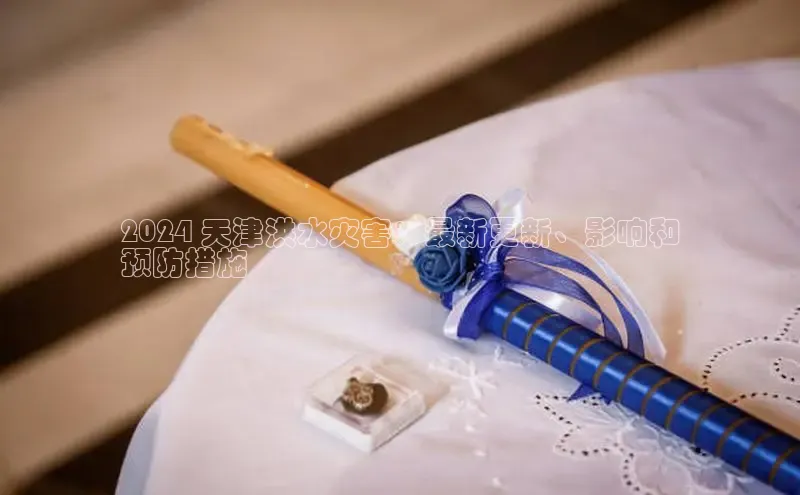 意昂体育4代理赛富乐斯2024 天津洪水灾害：最新更新、影响和
预防措施