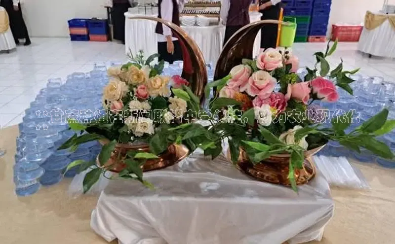 意昂4网易**甘蔗种植在新闻联播中受关注，助力农业现代化
**