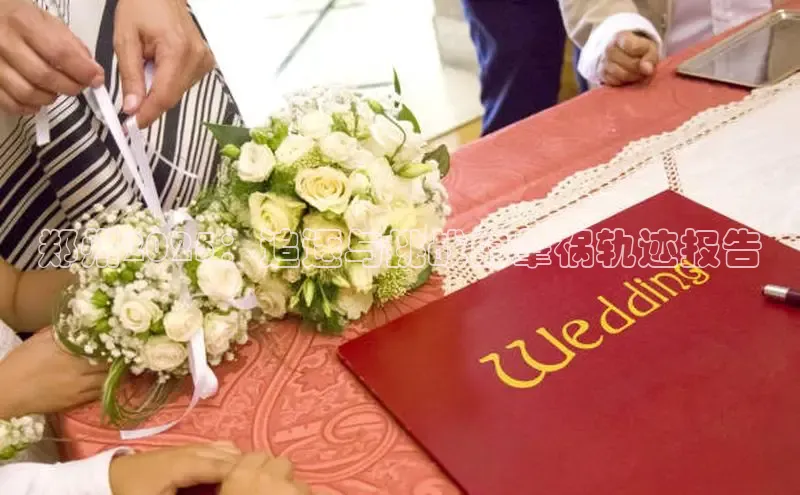 EON4官网美团郑州2025：追逐与挑战的肇祸轨迹报告