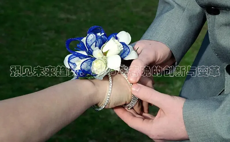 预见未来趋势：2025年春晚的创新与变革