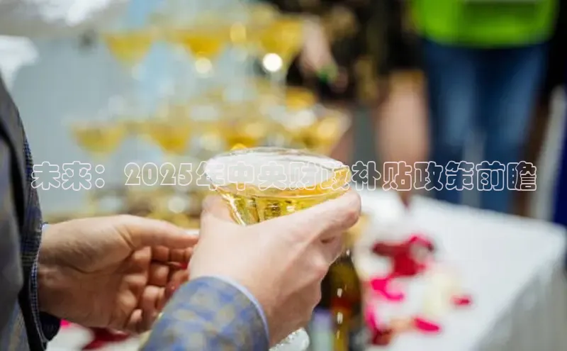 未来：2025年中央财政补贴政策前瞻