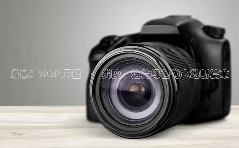 瞰景：2025展望——炎陵，这片绿色的宝地新篇章